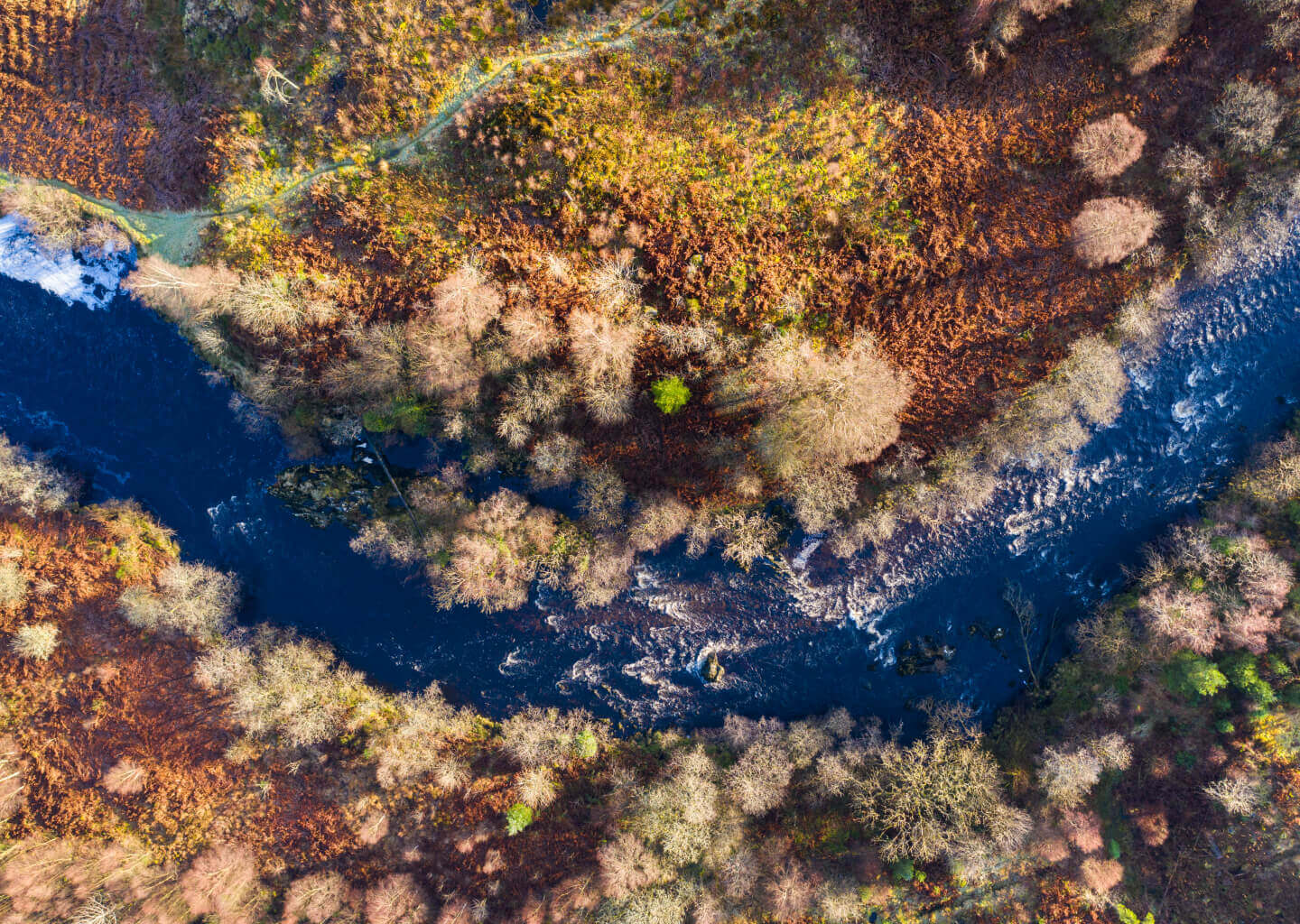 River and forest image for Net Zero campaign